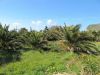 Scheda immobile n. 13774110 : Terreno in Vendita Favignana   ( commerciale )