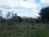 Terreno in Vendita a Cori(LT)