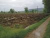 Terreno in Vendita a Sansepolcro(AR)