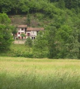 Vendita Rustico/Casale Ameno