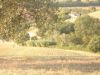 Terreno in Vendita a Spoltore(PE)