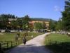 Attivit� / Licenza in Vendita a Carpegna(PU)