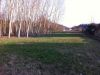 Terreno in Vendita a Silvano D'Orba(AL)