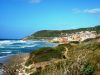 Scheda immobile n. 23195894 : Appartamento in Affitto Castelsardo  Lu Bagnu ( residenziale )