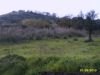 Terreno in Vendita a Agropoli(SA)