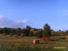 Altro in Vendita a Castellabate(SA)