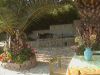 Scheda immobile n. 26245446 : Villa unifamiliare in Affitto San Vito Lo Capo   ( residenziale )