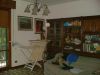 Attivit� / Licenza in Affitto a Piacenza(PC)