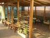 Attivit� / Licenza in Vendita a Soragna(PR)