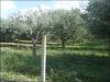 Terreno in Vendita a Pozzallo(RG)