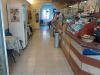 Attivit� / Licenza in Vendita a Jesi(AN)