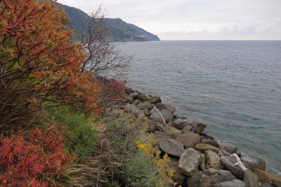 Vendita Appartamento Vernazza