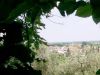 Rustico / Casale in Vendita a Mason Vicentino(VI)