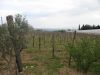 Terreno in Vendita a Agrigento(AG)