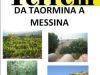 Terreno in Vendita a Forza D'Agro'(ME)