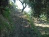 Terreno in Vendita a Letojanni(ME)