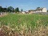 Terreno in Vendita a Mereto Di Tomba(UD)
