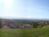 Terreno in Vendita a Belvedere Langhe(CN)