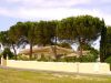 Villa in Vendita a Numana(AN)