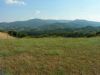Terreno in Vendita a Citerna(PG)