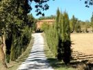Rustico / Casale Vendita Foiano Della Chiana 