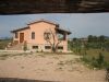 Case e immobili  in affitto a Montalto Di Castro