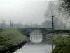 Ville o Villini in vendita a Ponte Di Piave