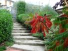 Villa Vendita Sansepolcro 