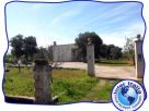 Villa Vendita San Vito Dei Normanni 