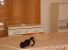 Appartamento Affitto Atri 