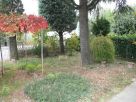 Villetta a schiera Vendita Sansepolcro 