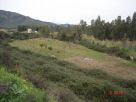 Terreno Vendita Tortoli' 