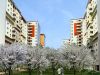 foto Appartamento Vendita Milano