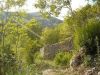 Immobile Civitella Roveto, Annunci Immobili Civitella Roveto