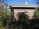 Casa indipendente Vendita Sgurgola 