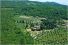 Foto - Rustico / Casale in Vendita