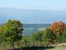 Rustico / Casale Vendita Chiusi Della Verna 