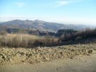 Terreno Vendita Cinzano 