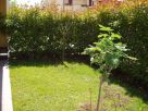 Appartamento Vendita Monastier Di Treviso 