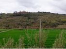 Terreno Vendita Orsomarso 