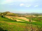 Rustico / Casale Vendita Montechiaro D'Asti 