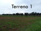 Terreno Vendita Leverano 