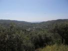 Terreno Vendita Laureana Cilento 