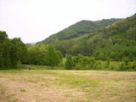 Altro Vendita Mombello Monferrato 