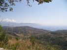 Rustico / Casale Vendita Pollica 