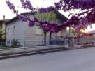 Casa indipendente Vendita Acqualagna 