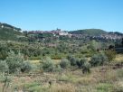 Terreno Vendita San Fili 