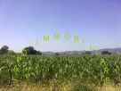 Terreno Vendita Prato 