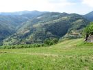 Terreno Vendita Bovegno 