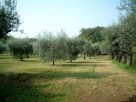 Terreno Vendita Fontegreca 